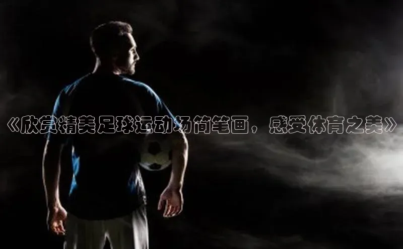 天富平台官网下载宣亚国际《欣赏精美足球运动场简笔画，感受体育之美》