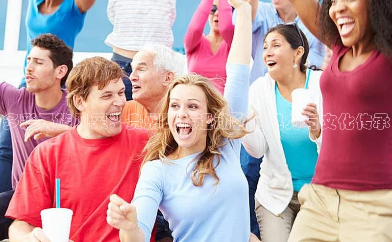 多彩民族风采：贵州民族运动会的魅力与文化传承