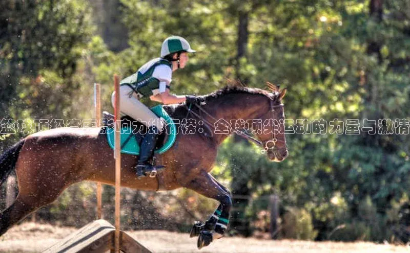 篮球顶级赛事影响力排行榜：全球顶尖运动的力量与激情