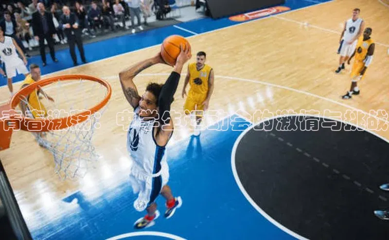 青春激荡：中学生运动会的激情与挑战