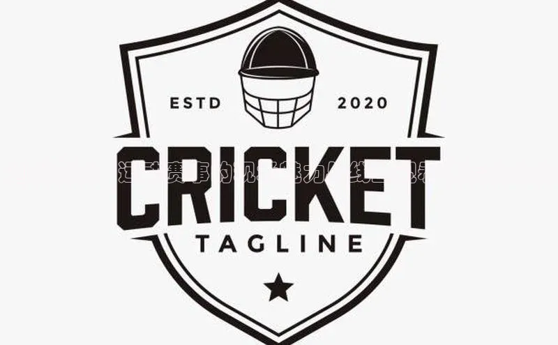 超越屏幕：运动赛事的现场魅力与线上观看体验的比较