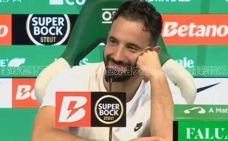 全球视野下的竞技盛事：世界各大运动赛事的精彩瞬间