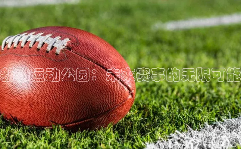 新雅运动公园：未来赛事的无限可能