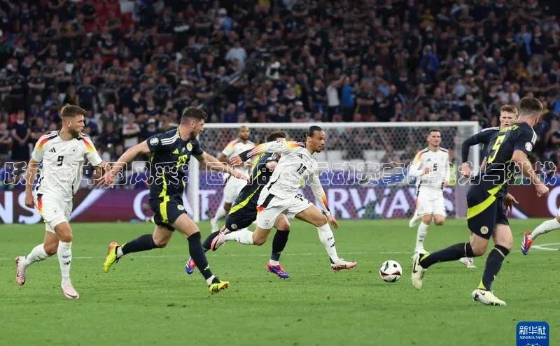 跃动的中国风采：国内田径运动赛事的魅力与挑战