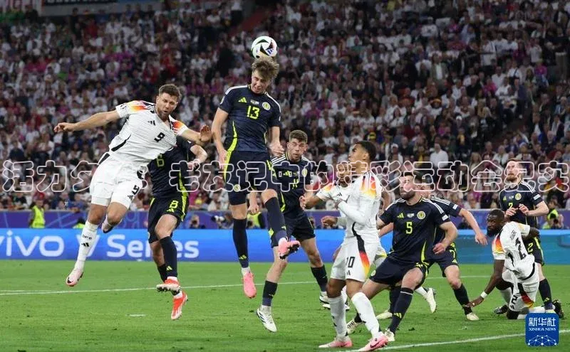 活力夕阳：老友记中的精彩运动会纪实