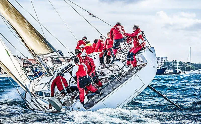 飞跃时代——2024年最具影响力的体育盛事