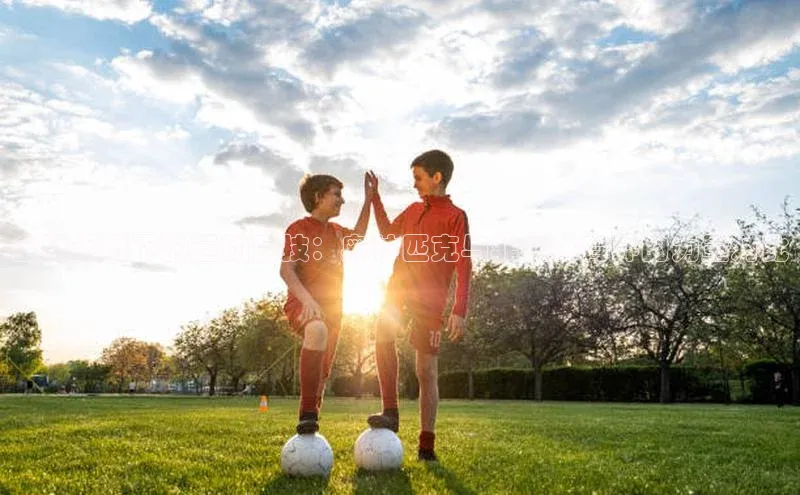 全球视野下的运动竞技：奥林匹克与非奥体育界的力量对比