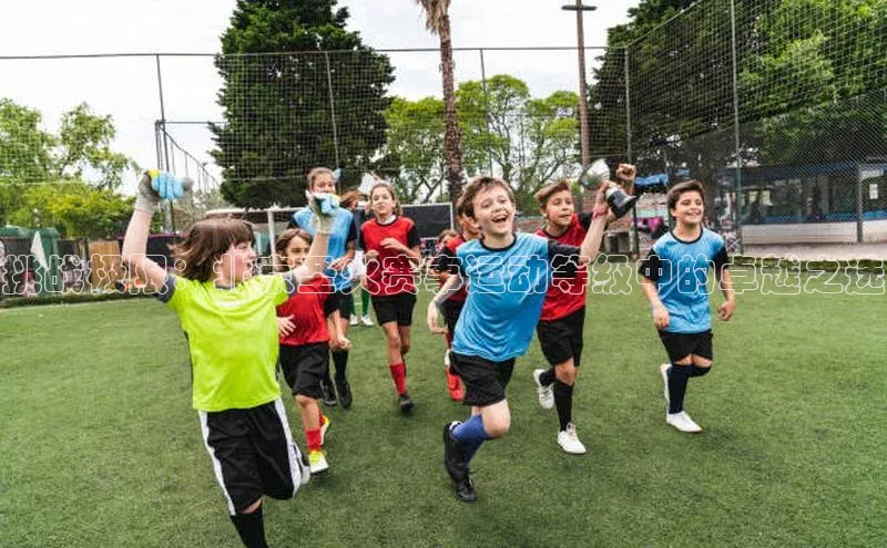 挑战极限：北京圣火赛事运动等级中的卓越之选