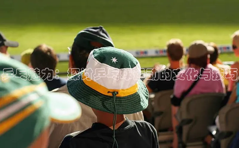 乒乓魅力：探讨乒乓球运动的文化与技巧